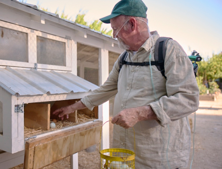 A person collecting eggs in a yellow basket